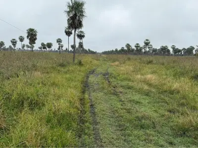 Terreno en venta en Villa Hayes, Presidente Hayes 3