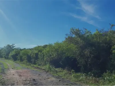 Terreno à venda em Villa Hayes, Presidente Hayes 4