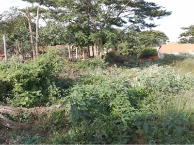 Terreno à venda em Villa Leticia, Ñemby 2