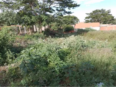 Terreno à venda em Villa Leticia, Ñemby 3
