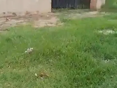 Terreno en venta en Virgen de Fátima, San Lorenzo 2