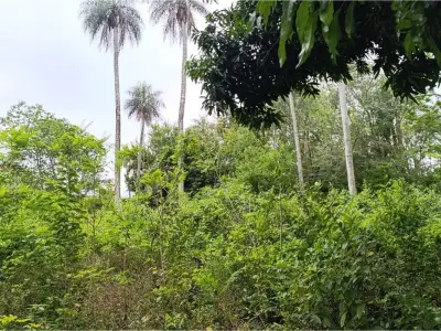 Terreno en venta en Yaguarón, Paraguarí 4