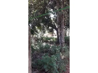 Terreno à venda em Ybyraro, Capiatá, 1.485 m² 4