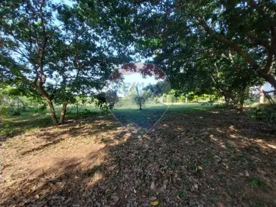 Terreno à venda em Ybyratý, Itauguá 5
