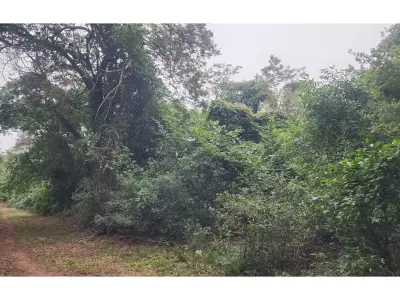 Terreno à venda em Ypacaraí, Mbocajaty, 2.957 m² 3