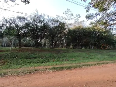 Terreno à venda em Ypané, Central 2