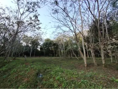 Terreno à venda em Ypané, Central 3