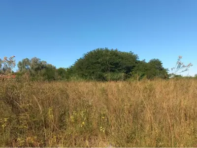 Terreno à venda em Ypané, Central, de 520 m² 2