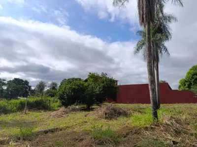 Terreno à venda em Ypané, região de Luisito 3