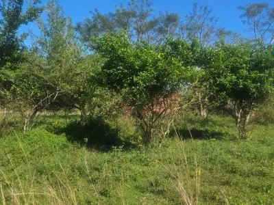 Terreno en venta en Ytororo, Ypané — 459 m² 2
