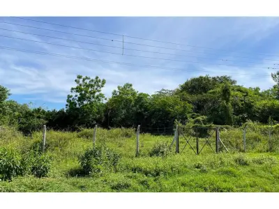 Terreno à venda em Zárate Isla, Luque 3