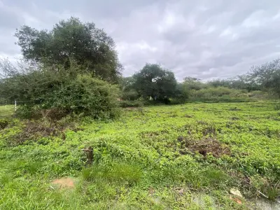 Terreno en venta en Zárate Isla, Luque 4