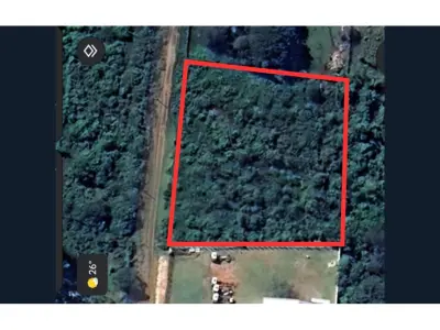 Land for sale in Zárate Isla, Luque 3