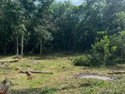 Land for sale in Anfiteatro area, San Bernardino 2