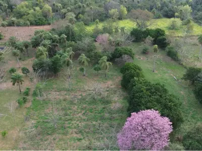 Land for sale in Zona Don Papalo, San Bernardino 2