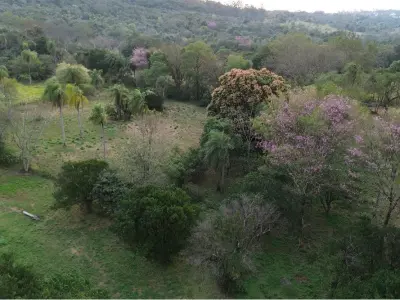 Land for sale in Zona Don Papalo, San Bernardino 4