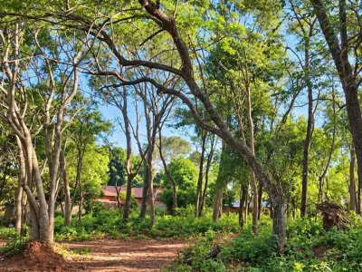 Terreno à venda para desenvolvimento em Rincón, Ñemby 3