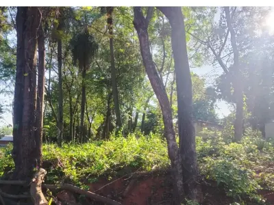 Terreno à venda para desenvolvimento em Rincón, Ñemby 4