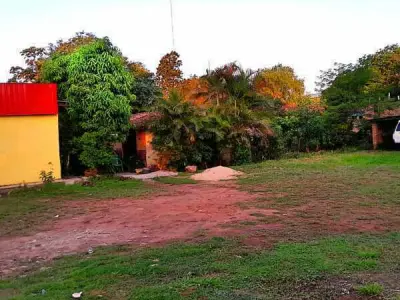 Terreno en venta sobre Av. Manuel Ortiz Guerrero, Ñemby 2