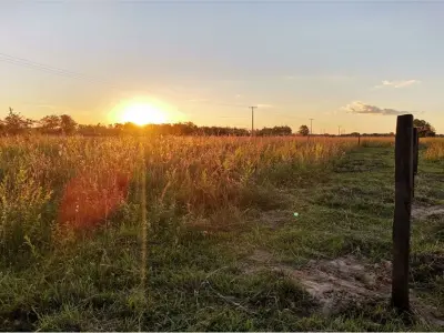 Terreno à venda em ruta asfaltada em San Cayetano, Ypané 2