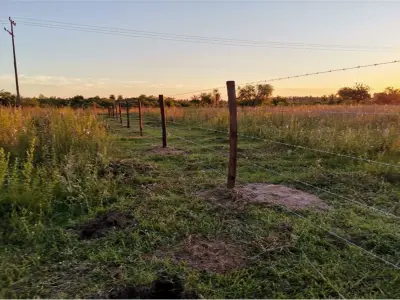 Terreno à venda em ruta asfaltada em San Cayetano, Ypané 4