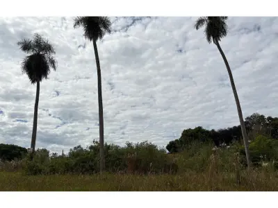Terreno à venda na Rota Itá-Itauguá, Yhovy 3