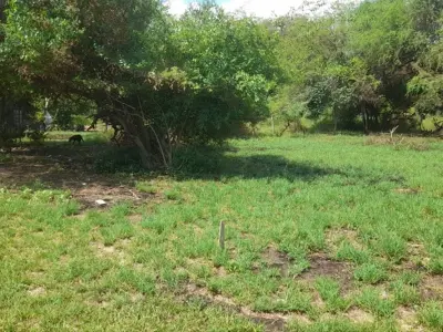Terreno en venta sobre Ruta PY Nº 9 en José Falcón 4