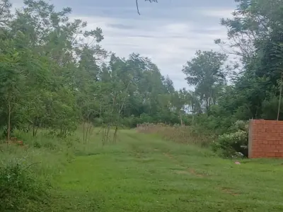 Terreno en venta sobre Ruta PY01 en Matachi, San Roque González de Santa Cruz 4