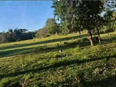Terreno à beira de rodovia à venda em San Estanislao, San Pedro 3