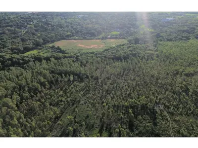 Terreno industrial à venda em Luque, 19,95 hectares 2