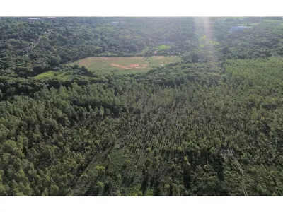 Terreno industrial à venda em Luque, 8,9 hectares 3