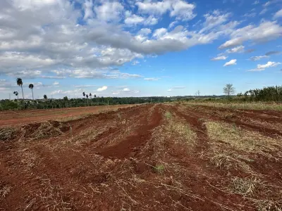 Terreno industrial à venda em Minga Guazú, Santa Monica 4