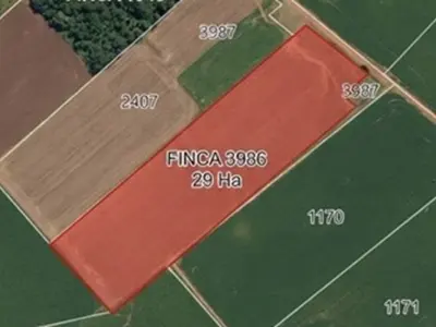 Terreno industrial à venda em Pirapó, Itapúa 4