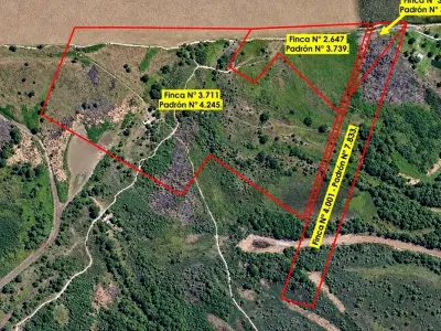 Terreno industrial ribereño en venta en Villeta 5