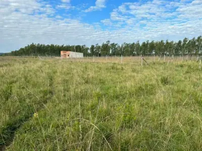 Flat Land for Sale near Puerta del Lago, San Bernardino 2
