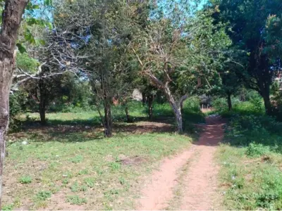 Flat land for sale in Capiatá, Central 3