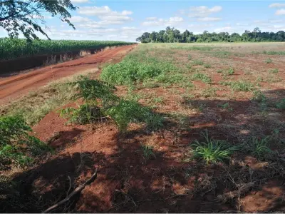 Productive land for sale in Obligado, Itapúa 2