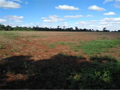 Productive land for sale in Obligado, Itapúa 3