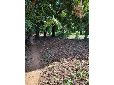 Terreno residencial à venda em Capiatá, Central 3