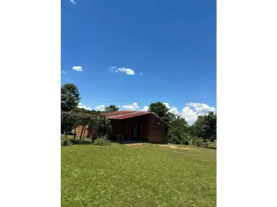 Terreno rural de 10 hectáreas en alquiler en Coronel Oviedo 2