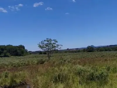 Terreno rural de 10 hectares à venda em Sapucai, Paraguarí 4