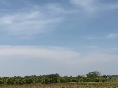 Terreno rural de 2 hectares à venda em Minga Guazú 2