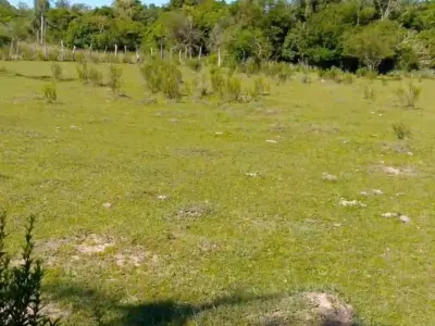Terreno rural de 20 ha en venta en Villarrica 3