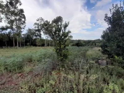 4-Hectare Rural Land for Sale, Capitán Miranda, Itapúa 4