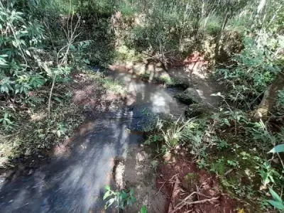 4-Hectare Rural Land for Sale, Capitán Miranda, Itapúa 5