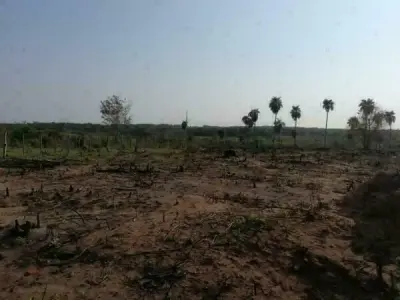 Terreno rural de 58 hectáreas en venta en San Estanislao, San Pedro 4