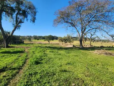 Terreno rural en venta en Arroyos y Esteros, Cordillera – 25.000 m² 3