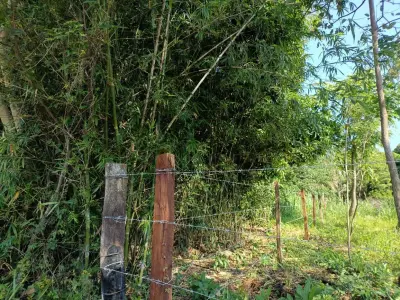 Terreno rural à venda em Atyrá, Cordillera 3