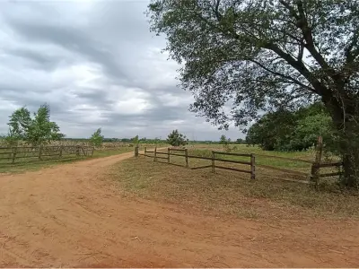 Terreno rural en venta en Caaguazú, 5 hectáreas 2