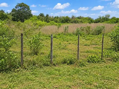 Terreno rural à venda em Dr. Juan Manuel Frutos, Caaguazú 2